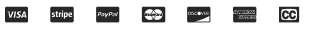 Logo Payment